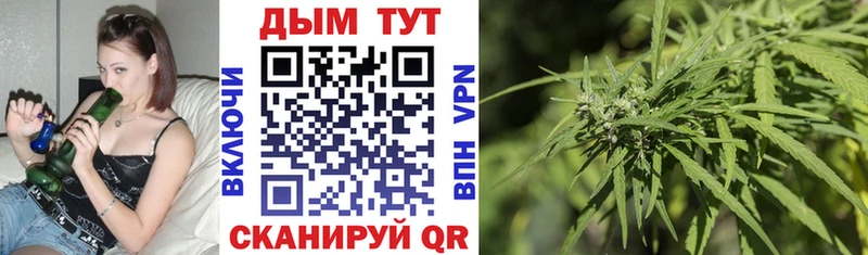 Канабис Amnesia  где можно купить наркотик  Бирюч 